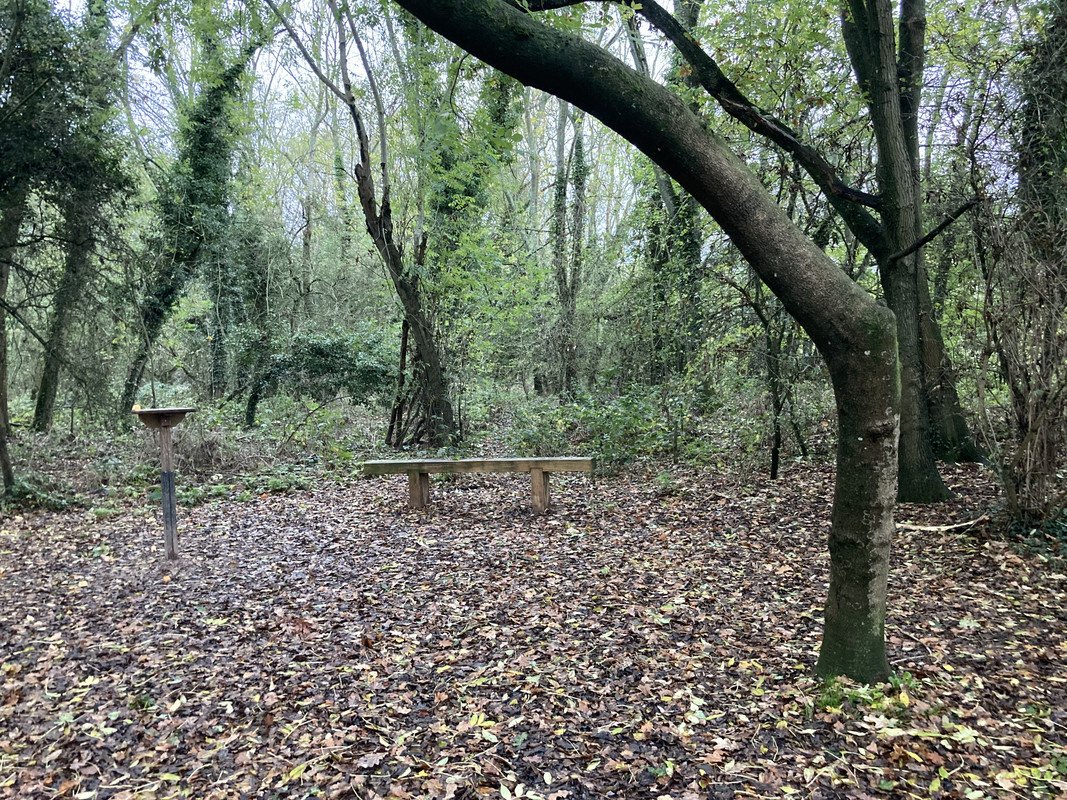 1DA4DE66-61D1-492E-809E-6DCFE5CB40B8