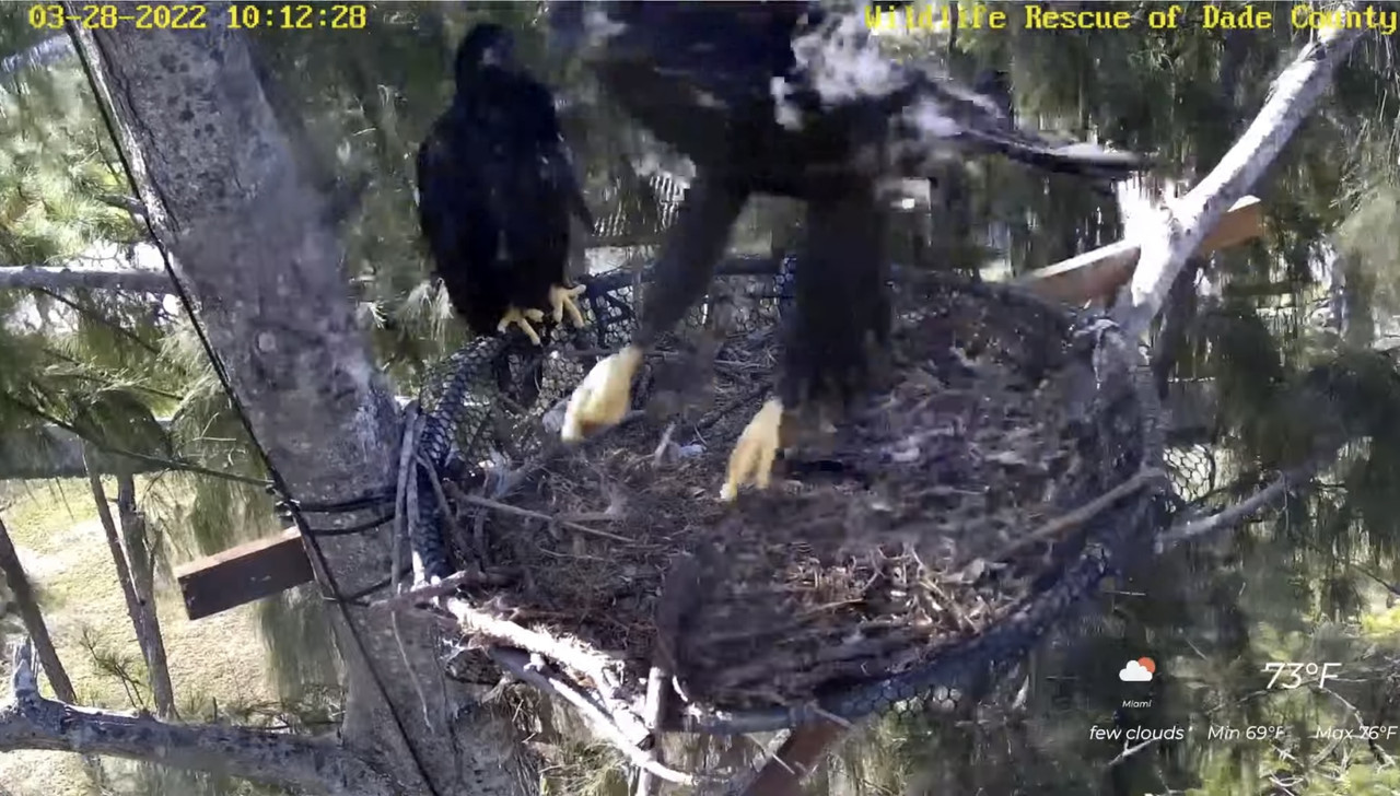 1ADC9E59-8AB4-4F23-AFC6-ECD0A816A293