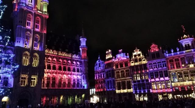 Bruselas, Gante y Brujas. Navidad 2018 - Blogs de Belgica - Llegada a Bruselas y fastuosa Grand Place (9)