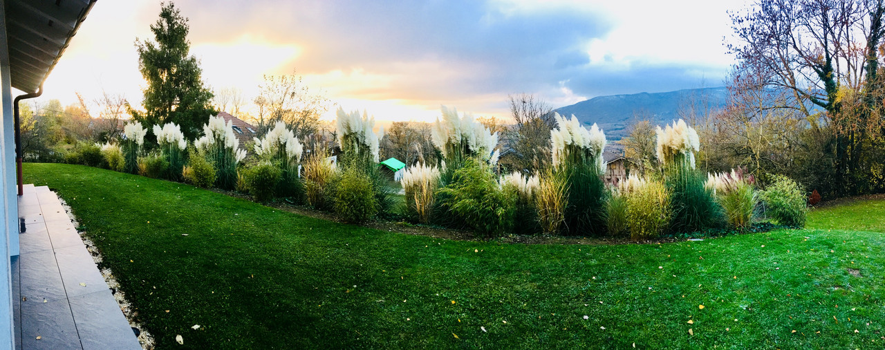 D4B8039A-0ACF-496A-B364-CD05DC840D6A