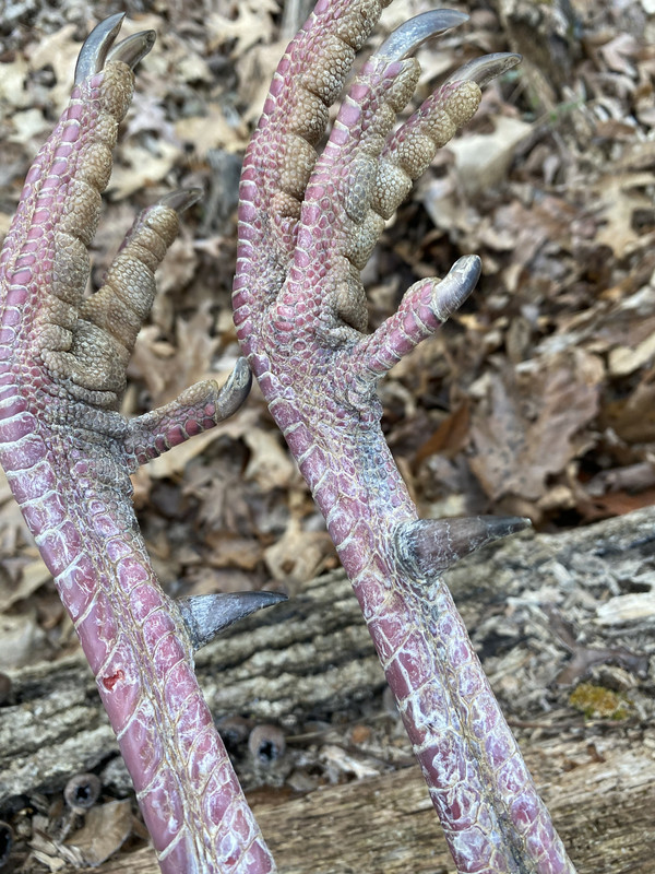 87A8E82A-1DCB-48DF-81B7-E4749C0631C5