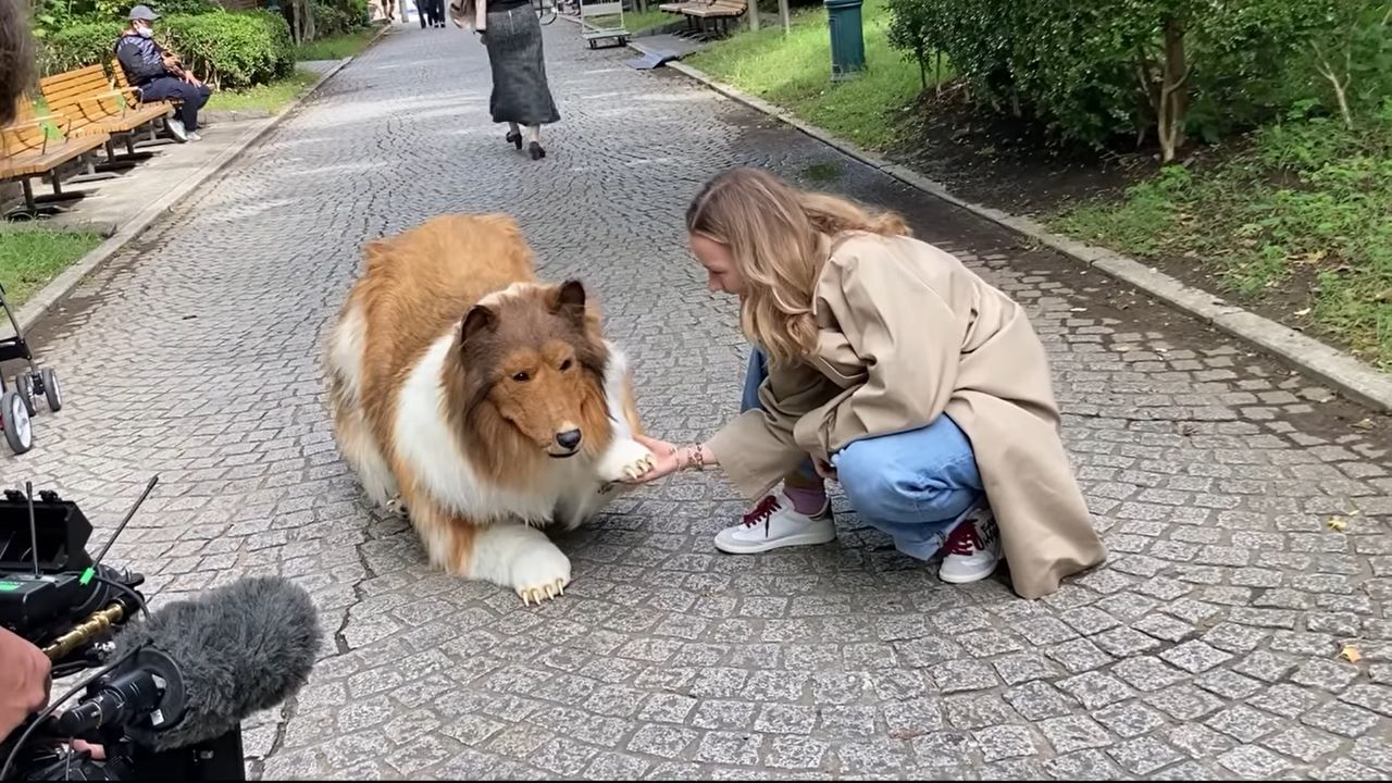 Toco, seorang pria asal Jepang yang baru-baru ini viral karena rela habiskan uang ratusan juta demi bisa jadi anjing.