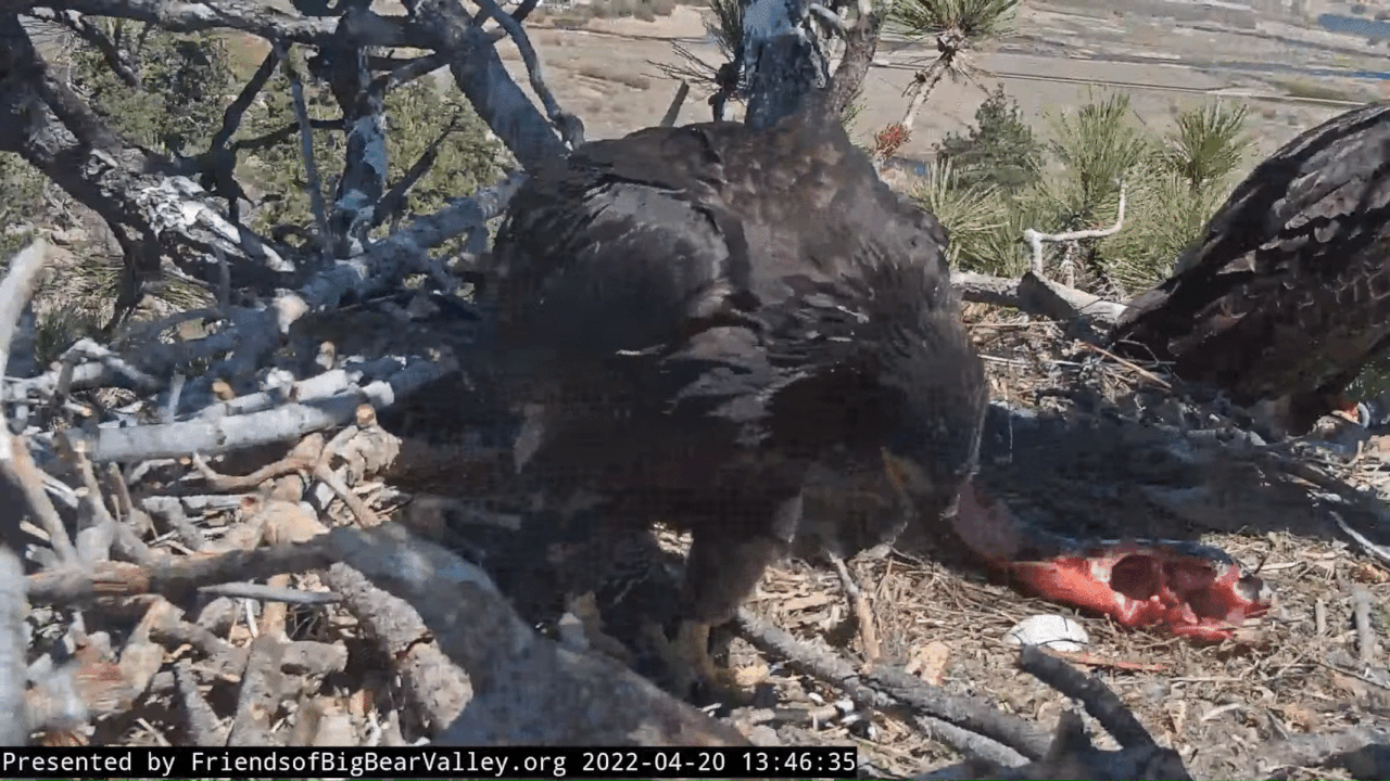 Webp.net-gifmaker (1)