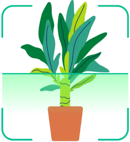 Feature illustration