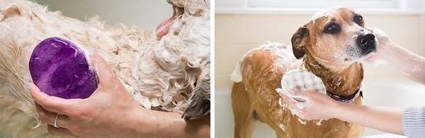 19 изобретений для самых ленивых людей в мире