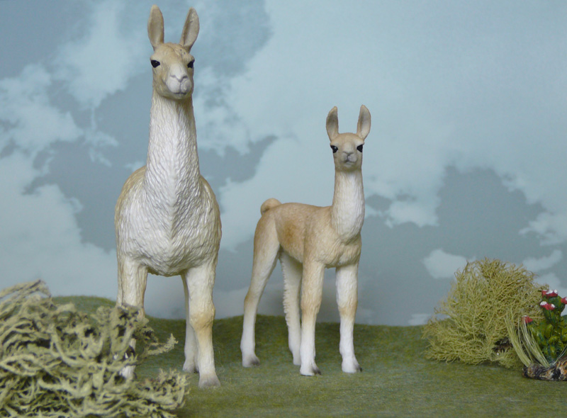 Mojö 2019 Llama and Cria- a walkaround by A.R.Garcia P1090626ed