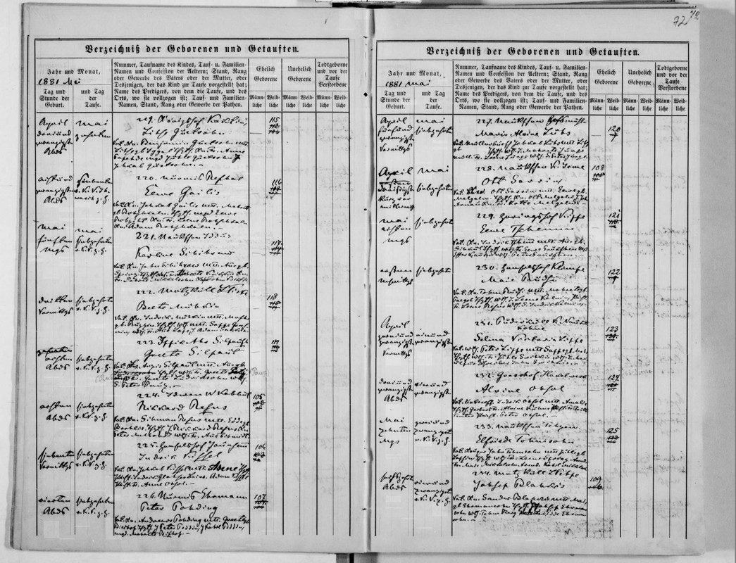 Elfrida birth record
