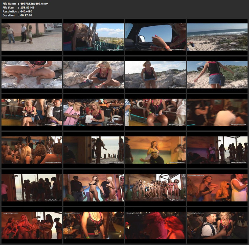 493Fist2ng493.wmv