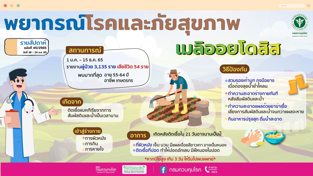 เตือนประชาชนโดยเฉพาะเกษตรกร ช่วงนี้ระวังป่วยโรคเมลิออยโดสิส หลังสัมผัสดินและน้ำ ทำความสะอาดร่างกายทันที