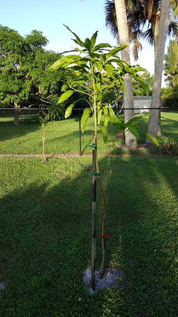 20170829_184653