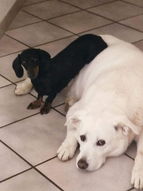 [Image: received-3366506096965749.jpg]