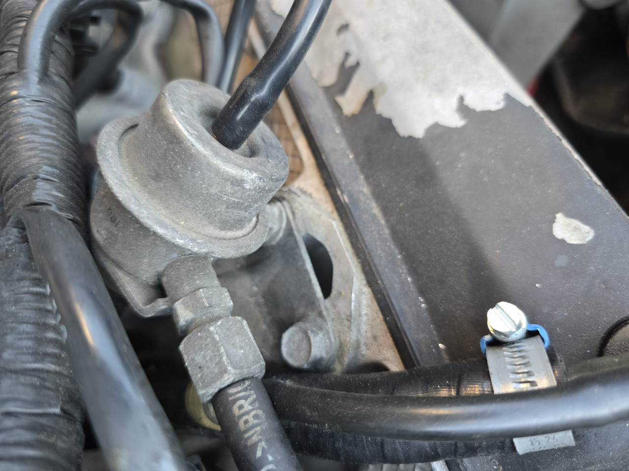 Whats App Image 2026 03 27 at 14 26 41 (3)