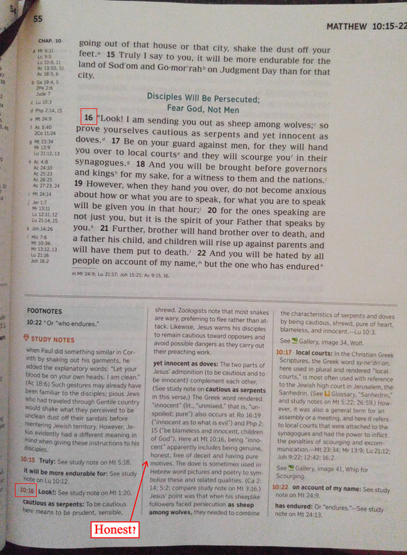 Full view of Matt 10 with footnotes on page 55