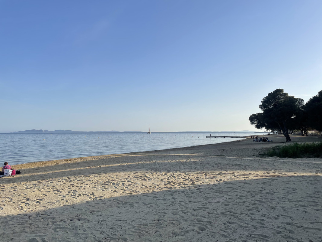 92D9C9A5-6F19-4C43-AE97-0CA9733C3C7D