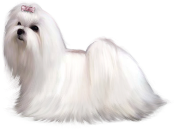 TADD_elements_PrincessParisian (52)