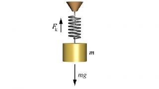 Physics - Periodic Motion - High School and AP Physics Physics - Periodic Motion - High School and AP Physics
