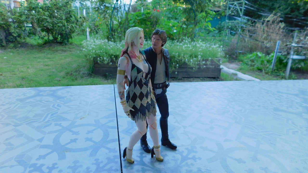 Дачно-барбейское июль, Харлинское 2-я серия 225