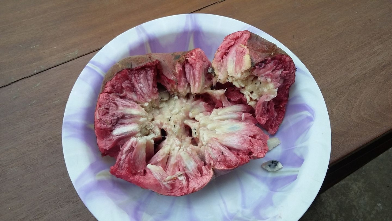 592416C4-172D-49BC-B7AB-9CA57BACA029