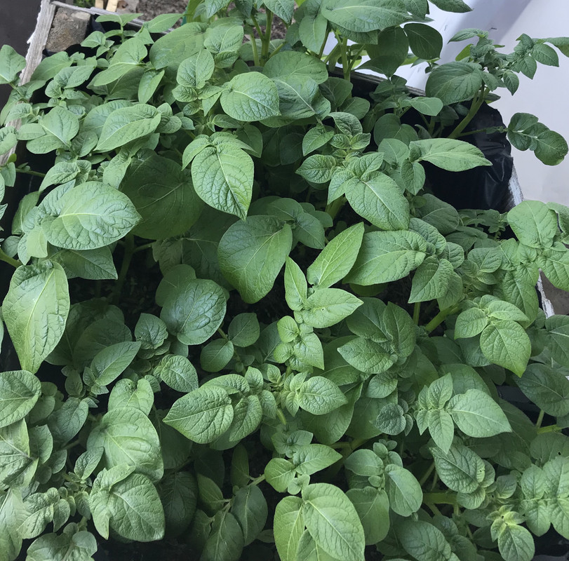 72659EE8-54C7-4900-8D23-D6D700210A83