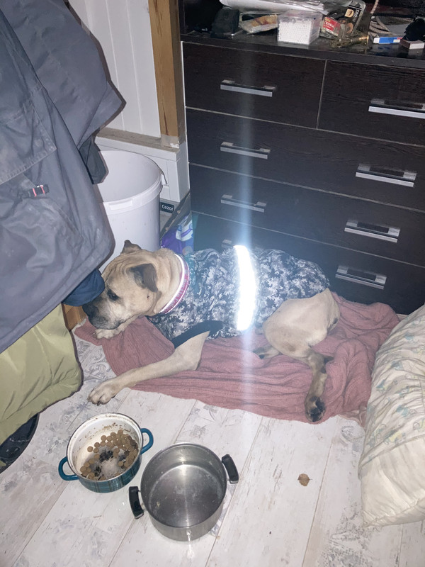 004CEEFE-95E8-4D40-B7E6-BF31F06A0589