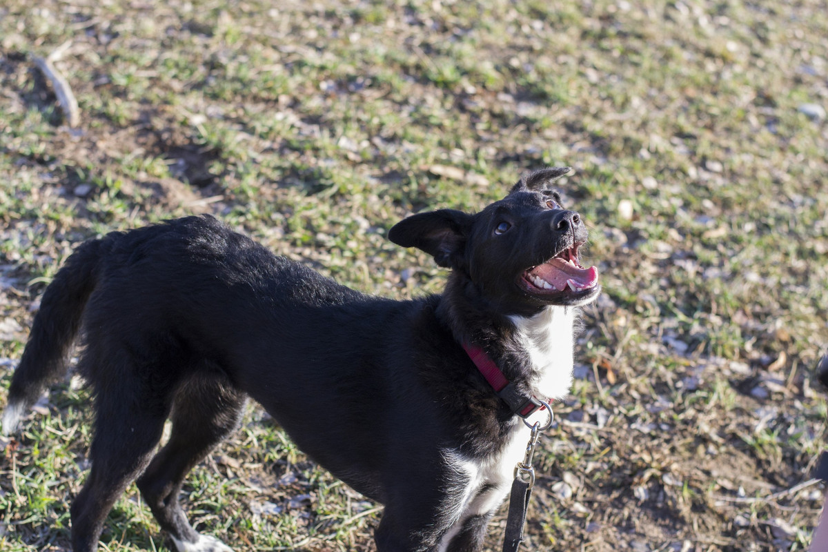 Дакота_06_18_9