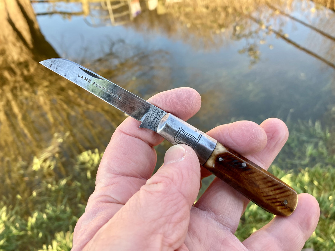 4A0FC67D-574B-487E-8223-2C9984915715