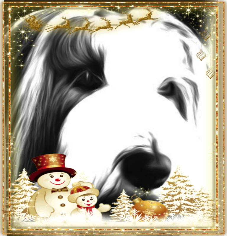 Image Image