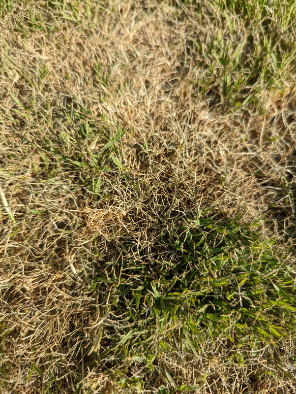 PXL_20220520_215951491