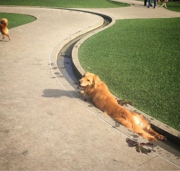 Подборка посвящается всем тем, кто таки дождался жары этим летом