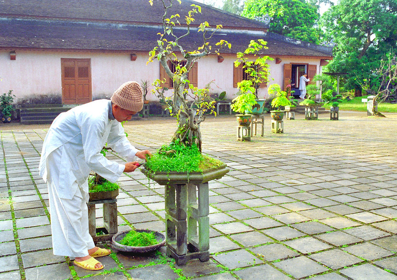 green-temple-vietnam.jpg