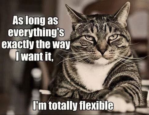 Cat-flexible-exactly
