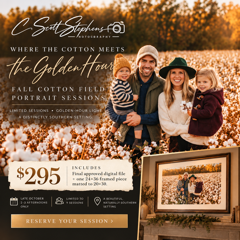 Fall Cotton Field Portrait Sessions — C. Scott Stephens Photography