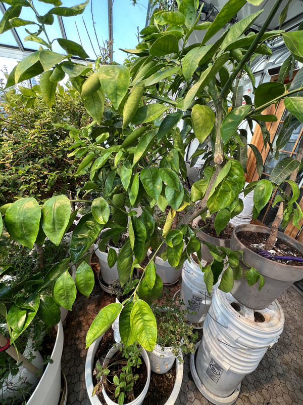 0F96F70D-0D38-4646-9AED-860882EC3CE9