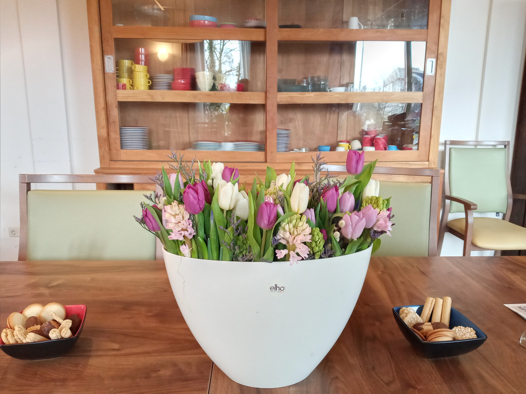 [Image: 20220402-165940.jpg]