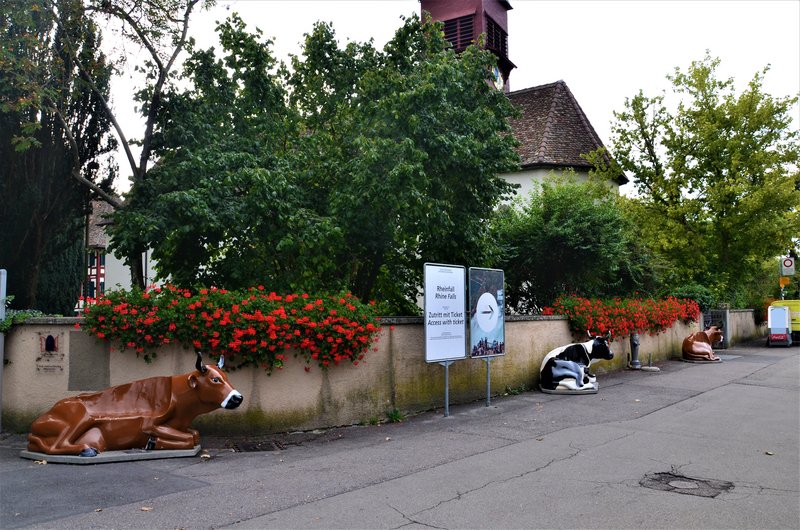 CATARATAS DEL RHIN-5-9-2019 - Suiza y sus pueblos-2019 (1)