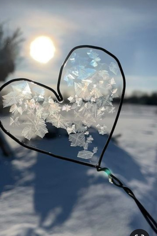 Screenshot_20231103_224443_Pinterest