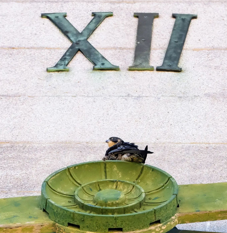 Screenshot 2022-07-12 at 10-21-31 Moon Rabbit Rising (@moon_rabbit_rising) • Instagram photos and vi