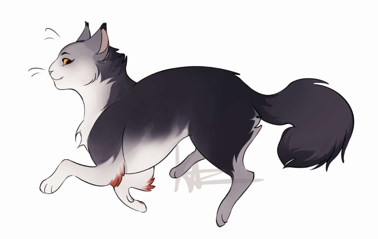 Красноперочка Реф