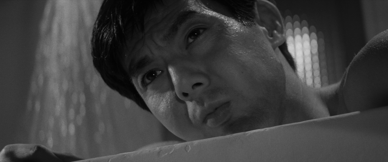 vlcsnap-2025-01-21-02h47m25s875