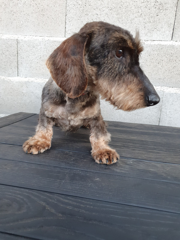 [Image: 20220318-184251.jpg]