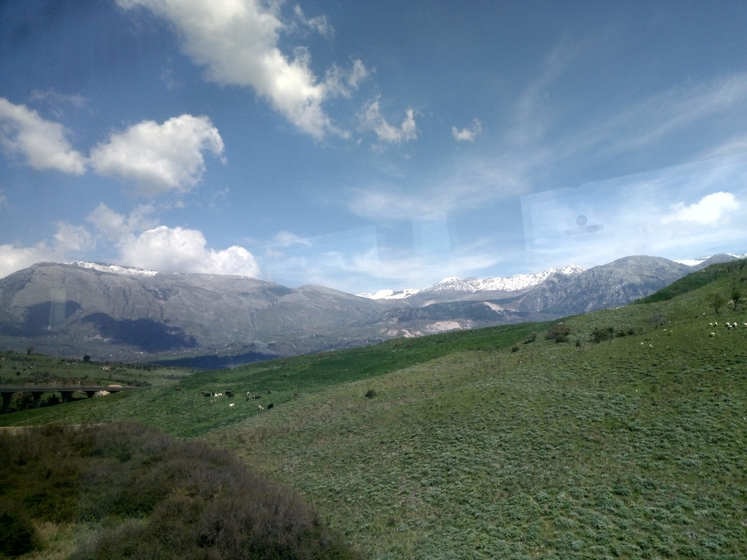 IMAG5372