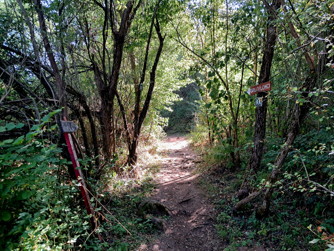 20240818-094700.jpg