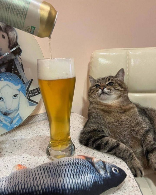 thumbs-picdump894-006.jpg