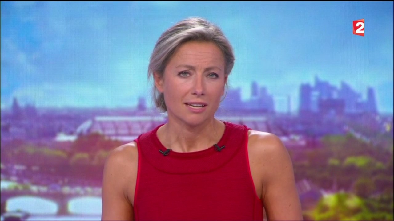 Anne-Sophie Lapix to edit 040917.mp4_snapshot_20