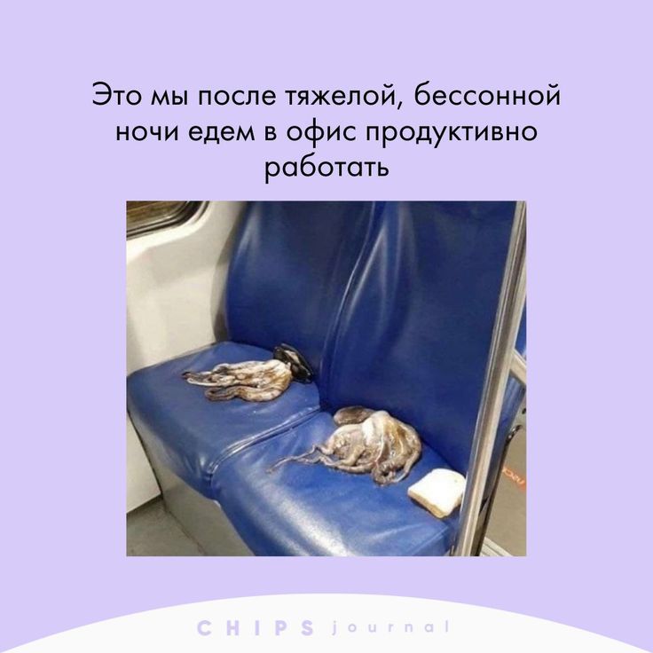 9cc03230dd770c16b41220e042fd9536.jpg