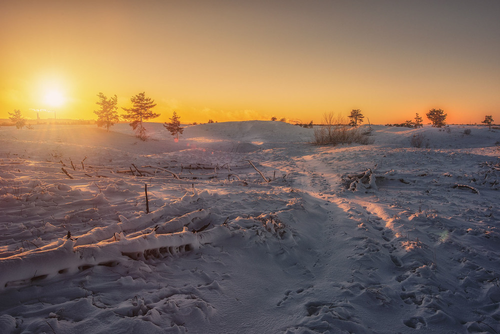 800x186225529936936960