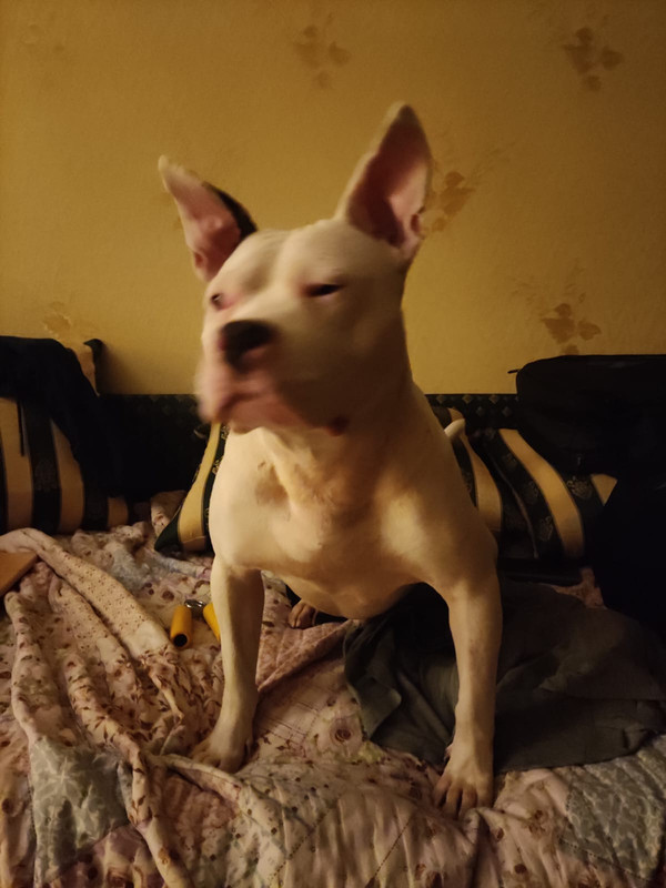 EFE074C3-DFB3-4267-9D80-AB3AF5EFEB2C