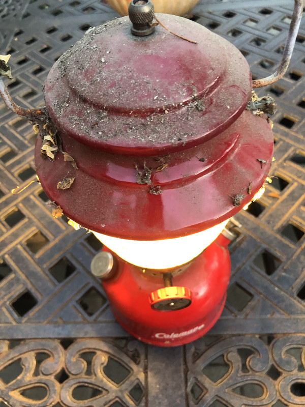 9891728B-643F-40DB-8FF8-14FD9446004F