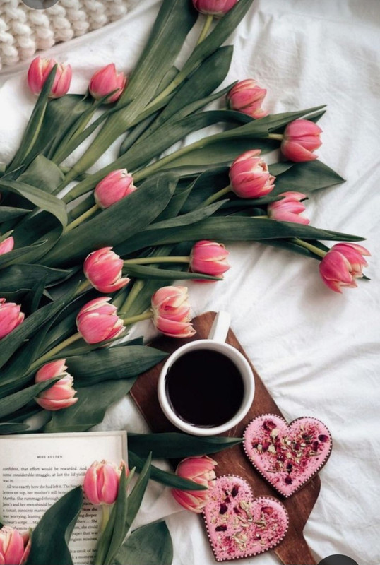 Screenshot_20230310_233745_Pinterest