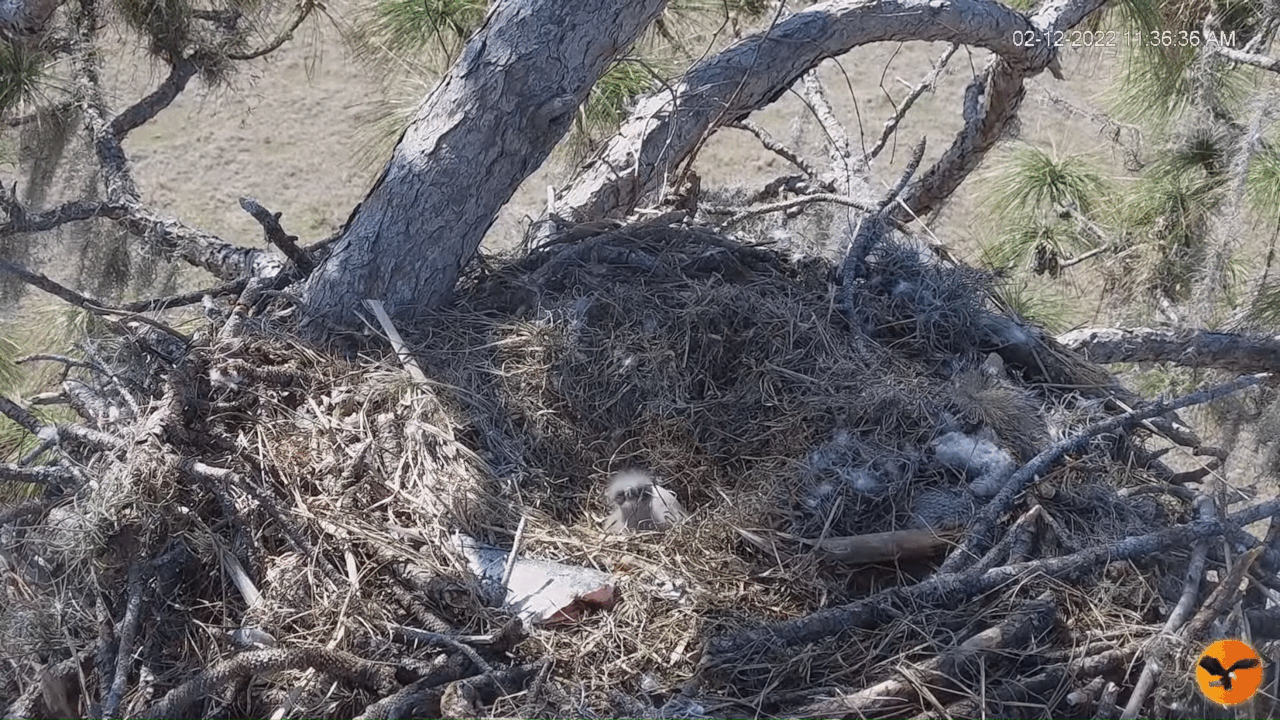 Webp.net-gifmaker (1)